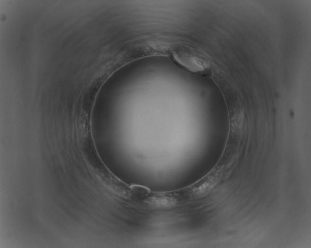 X0000071770464200606301159