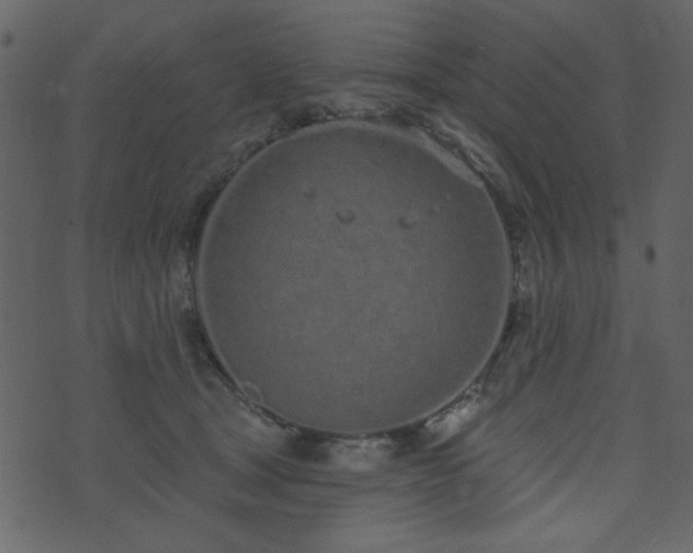 X0000071770465200606301159