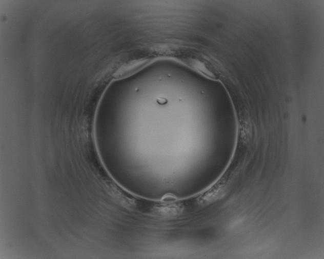 X0000071770466200606301159