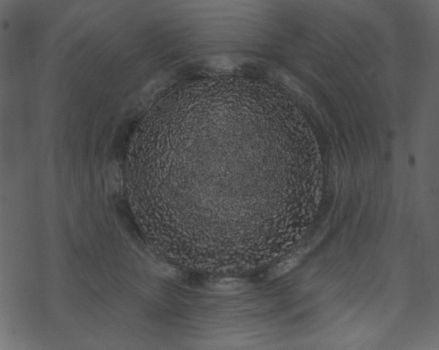 X0000071770467200606301159