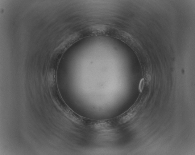 X0000071770468200606301159