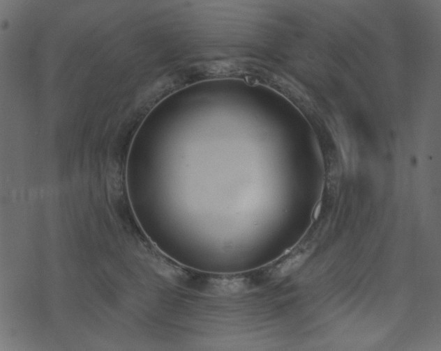 X0000071770469200606301159