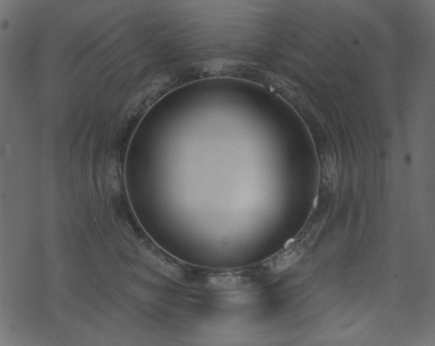 X0000071770470200606301159