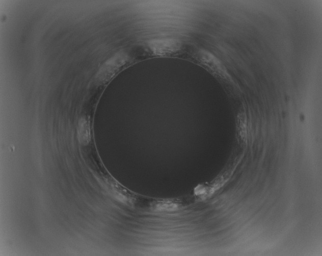 X0000071770471200606301200