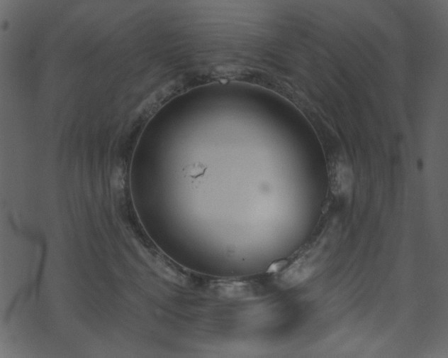 X0000071770472200606301200