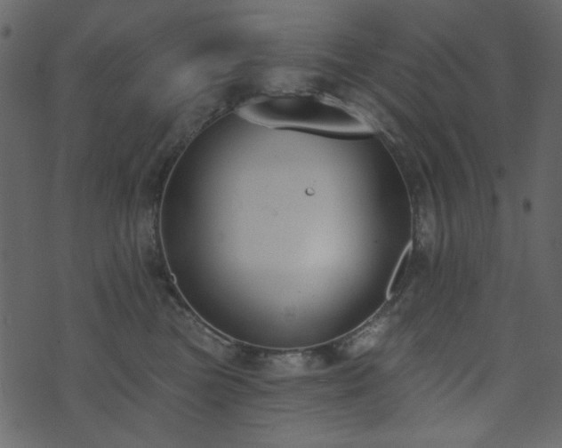 X0000071770473200606301200