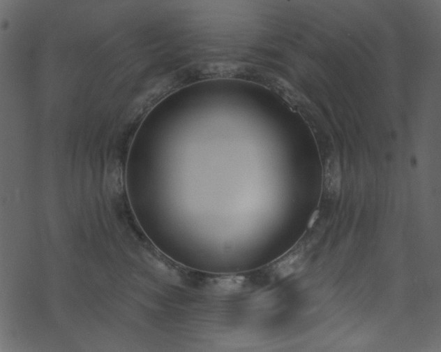 X0000071770474200606301200