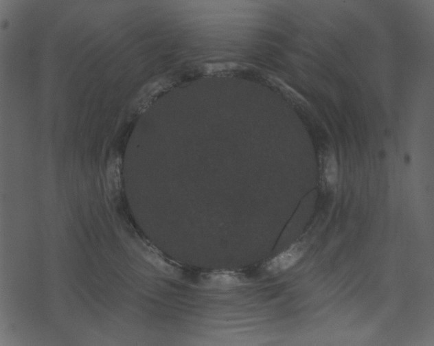 X0000071770475200606301200