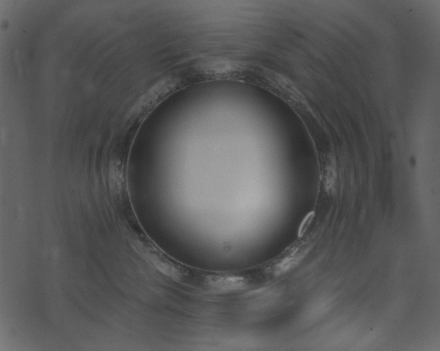 X0000071770476200606301200