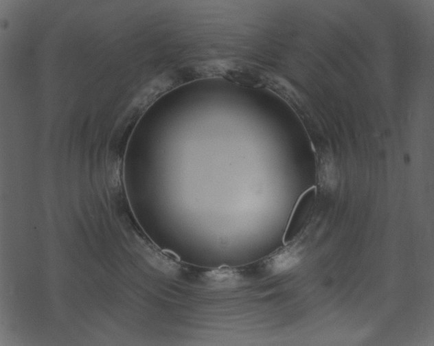 X0000071770477200606301200