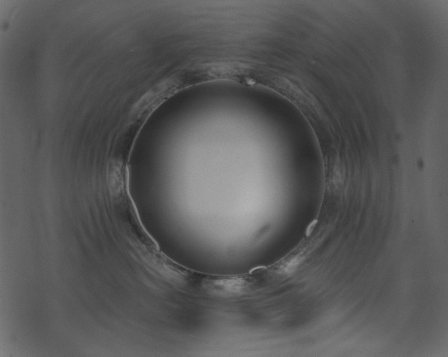 X0000071770478200606301200