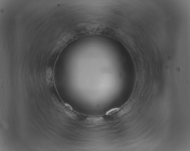 X0000071770480200606301200