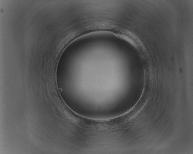 X0000071770481200606301159