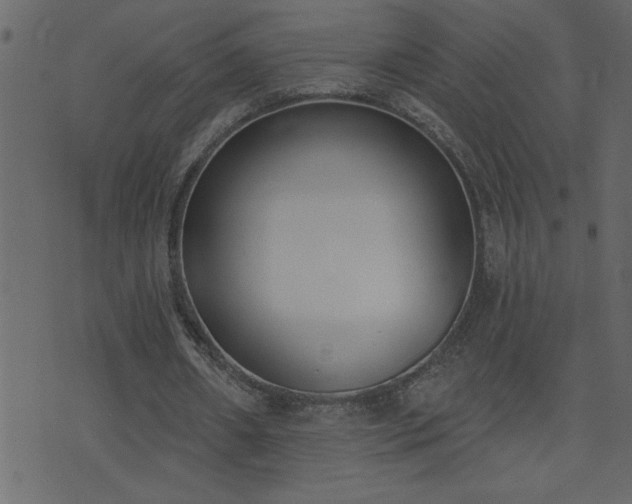 X0000071770482200606301159