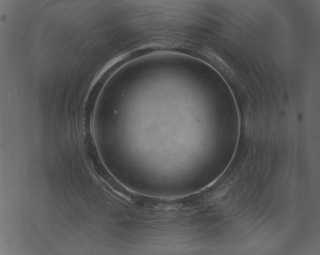 X0000071770484200606301159