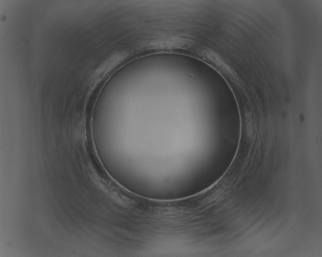 X0000071770486200606301159