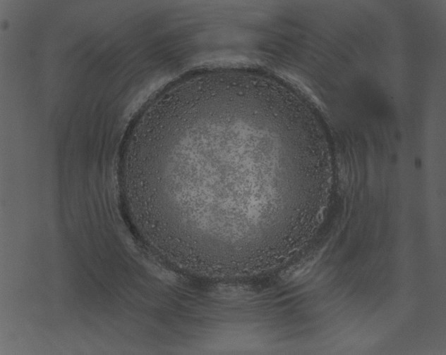 X0000071770487200606301159