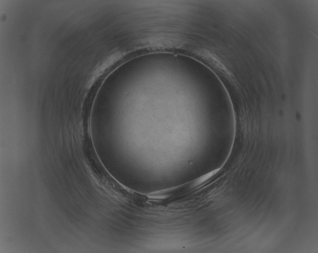 X0000071770488200606301159