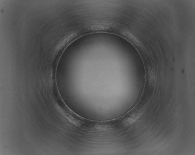 X0000071770490200606301159