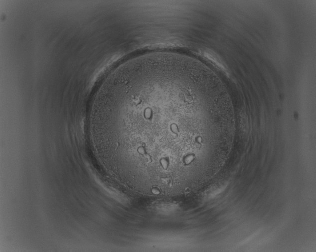 X0000071770491200606301159