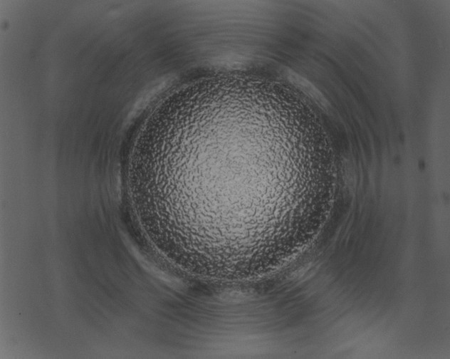 X0000071770494200606301159