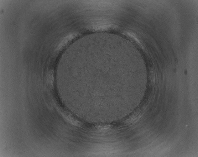 X0000071770495200606301159