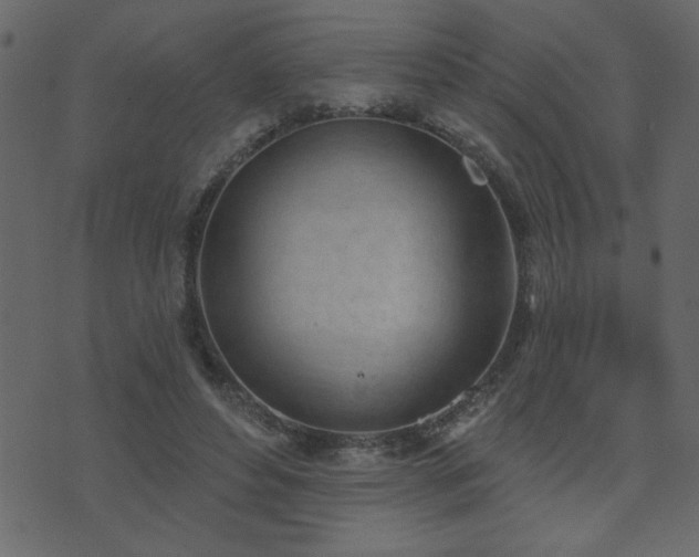 X0000071770496200606301159