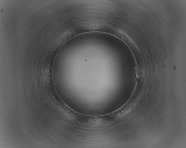 X0000071770497200606301159