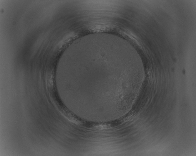 X0000071770499200606301159