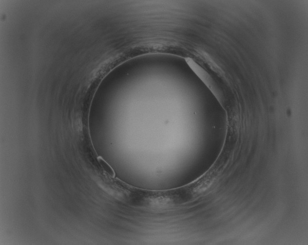 X0000071770500200606301159