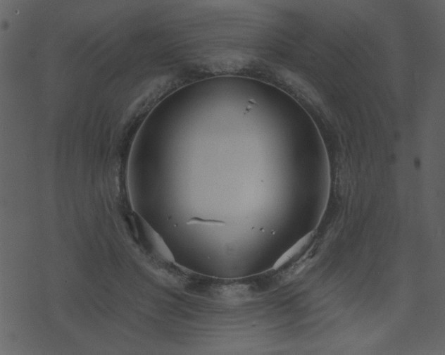 X0000071770501200606301159