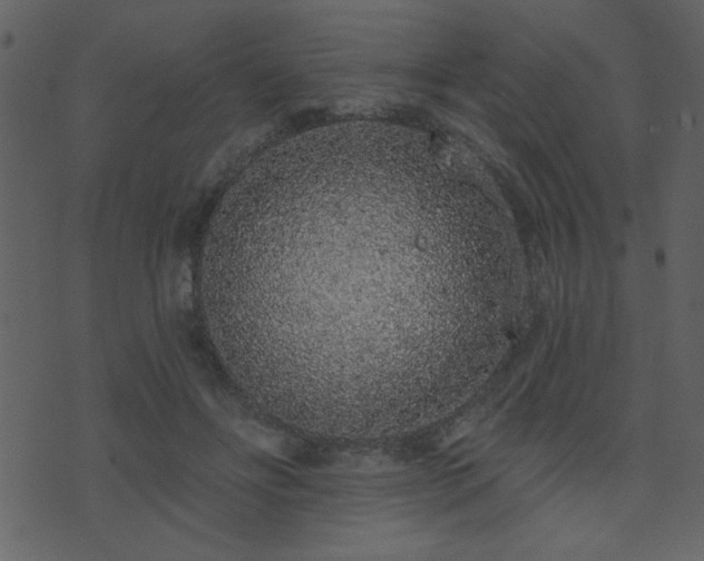 X0000071770502200606301159