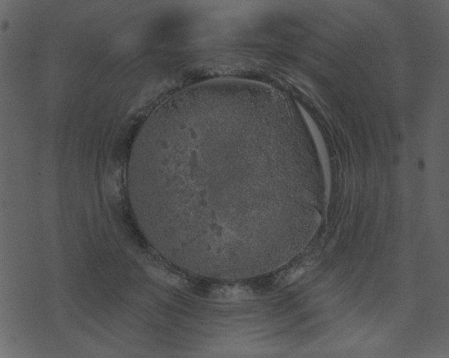 X0000071770503200606301159