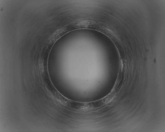 X0000071770504200606301159