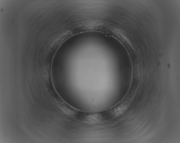 X0000071770505200606301158