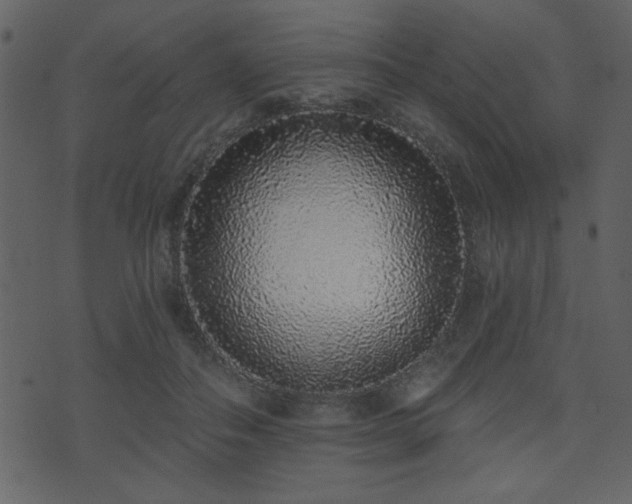 X0000071770506200606301158