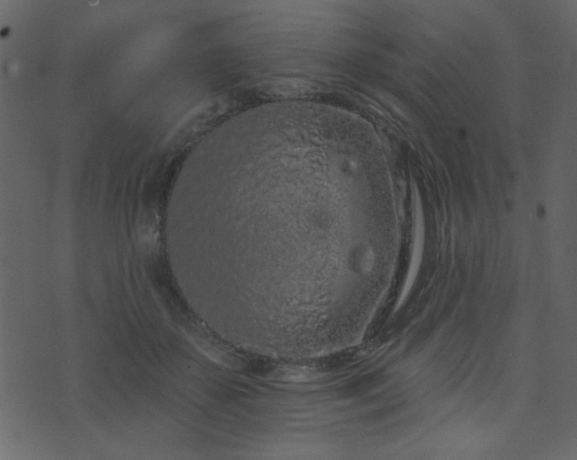 X0000071770507200606301158