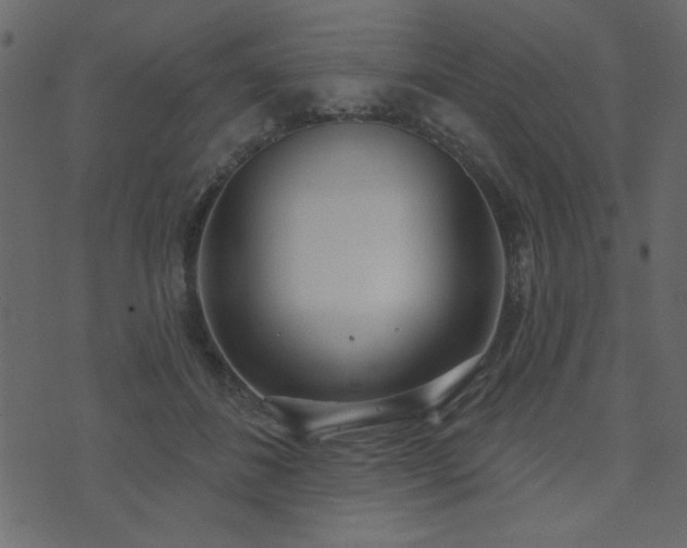 X0000071770508200606301158