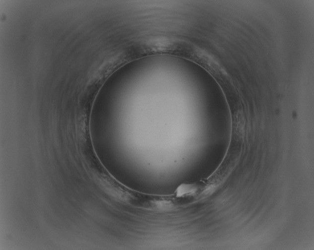 X0000071770509200606301158