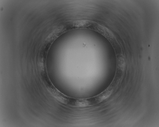 X0000071770510200606301158