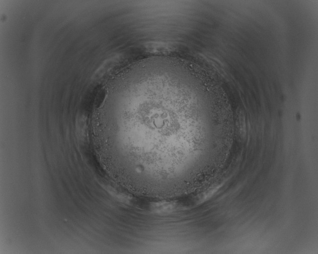 X0000071770511200606301158