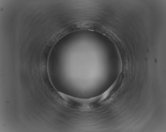 X0000071770513200606301158