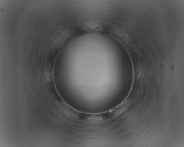 X0000071770515200606301158