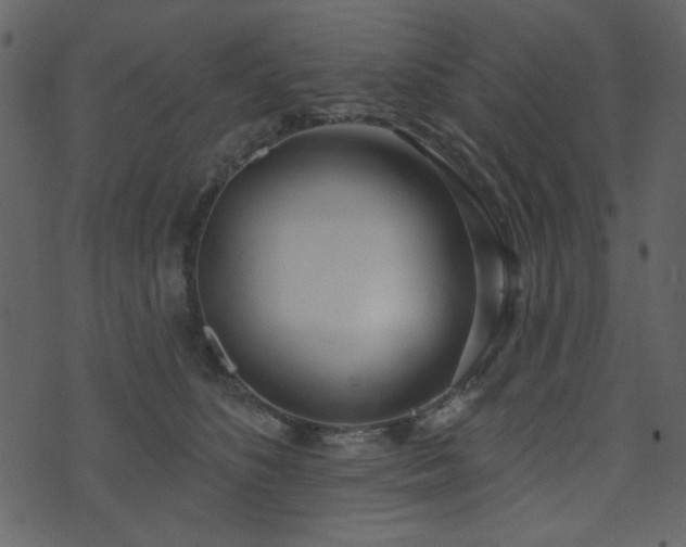 X0000071770516200606301158