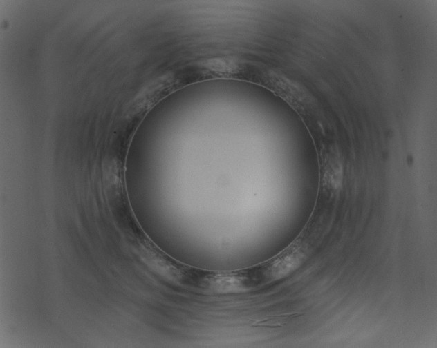 X0000071770518200606301158