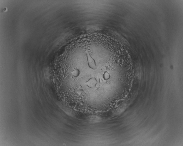 X0000071770519200606301158