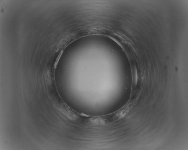 X0000071770520200606301158