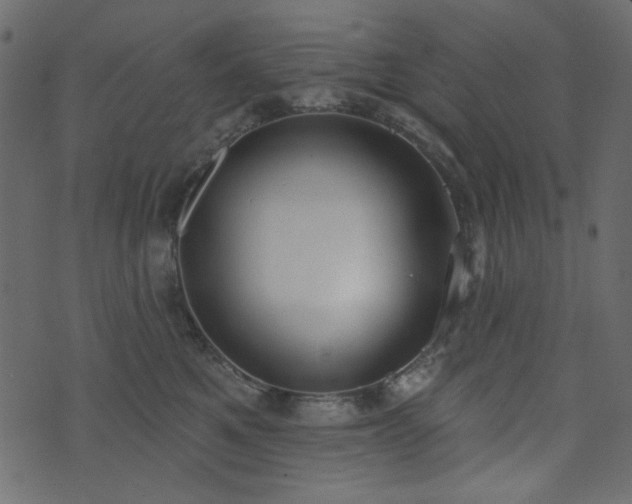 X0000071770521200606301158