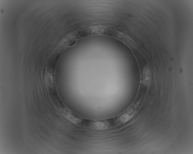 X0000071770522200606301158