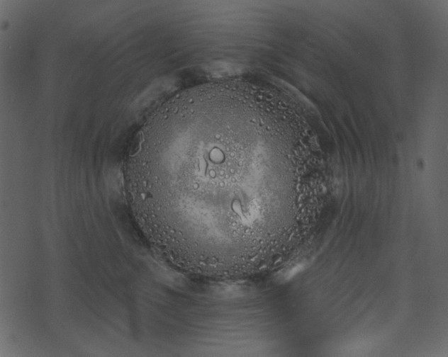 X0000071770523200606301158